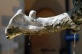 /album/galleria-fotografica/a2250-jpg/